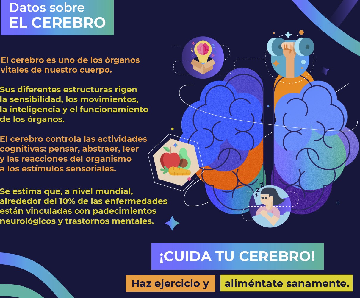 Día mundial del cerebro!!!