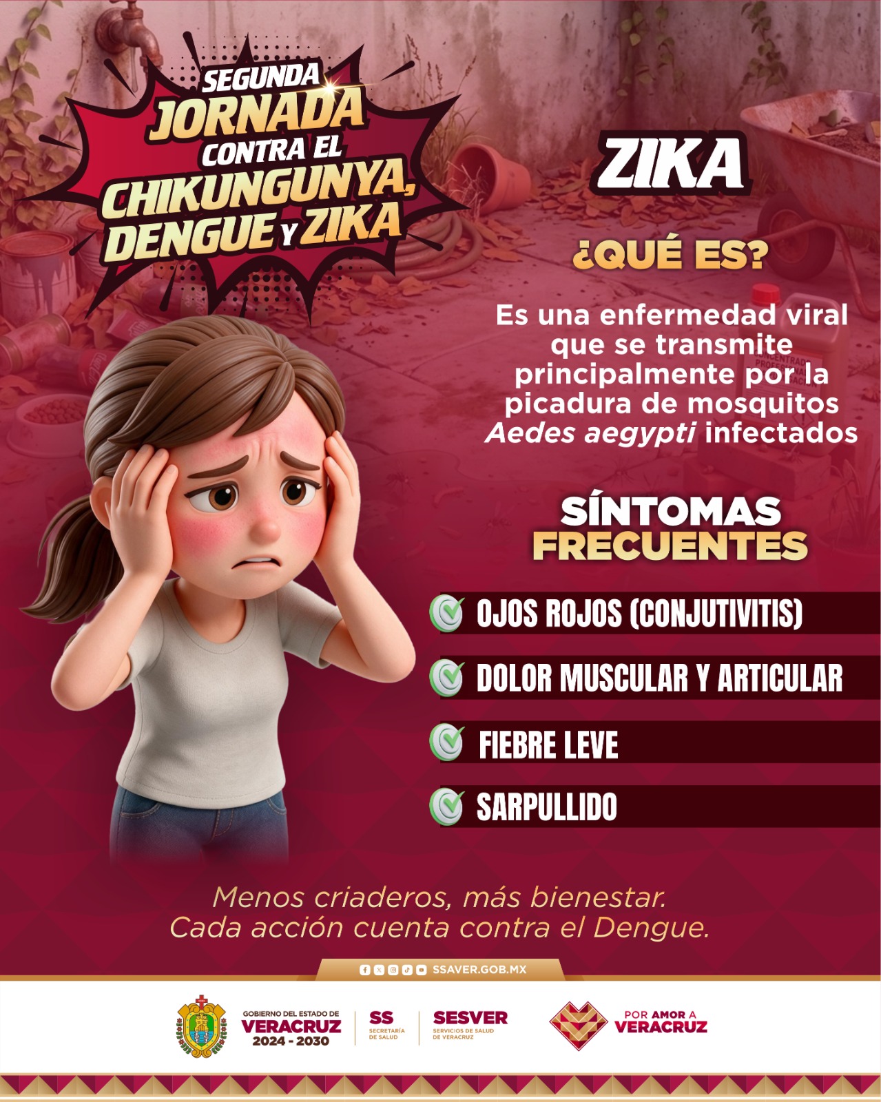 ZIKA ¿QUE ES?