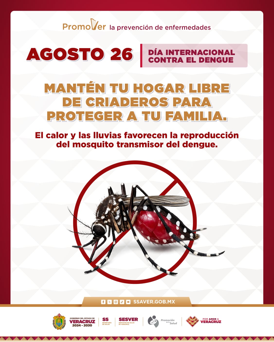 AGOSTO 29 DIA INTERNACIONAL CONTRA EL DENGUE