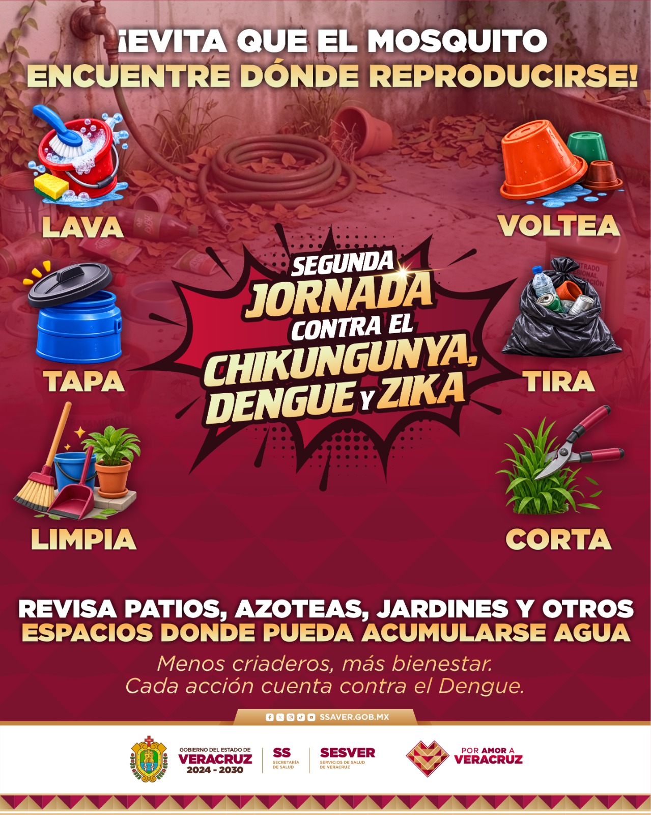 ¡¡¡¡EVITA QUE EL MOSQUITO TENGA DONDE ESCONDERSE!!!!